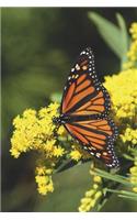 The Monarch Butterfly Journal: 150 page lined notebook/diary