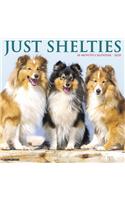 Just Shelties 2020 Wall Calendar (Dog Breed Calendar)