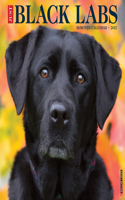 Just Black Labs 2021 Wall Calendar (Dog Breed Calendar)