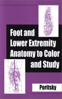 Foot and Lower Extremity Anatomy to Color and Study
