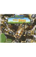 Killer Bees