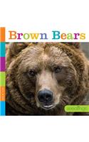 Seedlings: Brown Bears: (Seedlings)