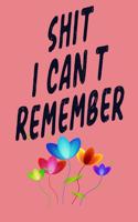 Shit I Can't Remember