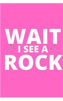 Wait I See A Rock
