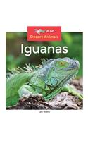 Iguanas