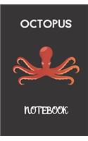 octopus notebook