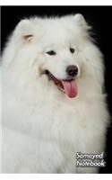 Samoyed Notebook: For Dog Lovers - Composition Book 150 pages 6 x 9 in. - 5x5mm Graph Paper - Writing Notebook - Grid Paper - Soft Cover - Drawing