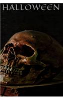 Skull, Halloween Notebook, Memory Book to Write or Draw , 6x9, 100 Beautiful Pages, Notes, Journal, Memory Book