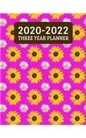 2020-2022 Three Year Planner