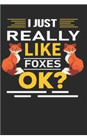 I just Really Like Foxes, Ok?
