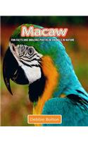 Macaw: Fun Facts and Amazing Photos of Animals in Nature
