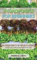 Hydroponics for Beginners