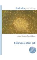 Embryonic Stem Cell