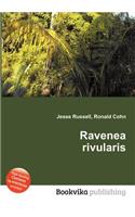 Ravenea Rivularis: (English)