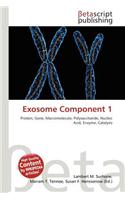 Exosome Component 1: (English)