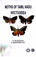 Moths of Tamil Nadu: Noctuoidea