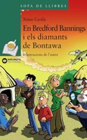 En Bredford Bannings I Els Diamants De Bontawa (Sopa De Llibres: Serie Verda)
