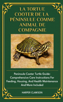 La Tortue Cooter de la Péninsule Comme Animal de Compagnie