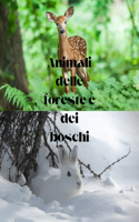Animali delle foreste e dei boschi.