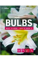 Bulbs