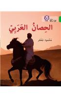 Collins Big Cat Arabic Reading Programme - The Arabian Horse