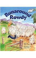 Runaround Rowdy PM PLUS Level 24 Silver