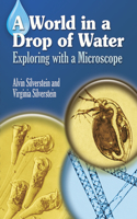 Silverstein'S World in a Drop