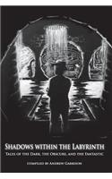 Shadows Within the Labyrinth