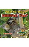 What Do You Find in a Rainforest Tree?: (Ecosystems Close-Up)