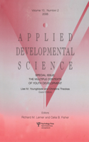 The Multiple Contexts Of Youth Development Ads V10#2