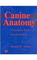 Canine Anatomy: A Systematic Study