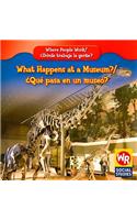 What Happens at a Museum? / ¿Qué Pasa En Un Museo?