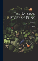 Natural History Of Pliny; Volume 4