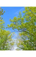 School Composition Book Springtime Tree Buds Blue Sky: Photo Covers Composition Books Notebooks (Notebook, Diary, Blank Book)