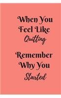 When You Feel Like Quitting Remember Why You Started