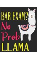 Bar Exam No Prob Llama: Passing The Passed Lawyer Law Composition Notebook 100 College Ruled Pages Journal Diary