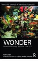 Wonder in Contemporary Artistic Practice