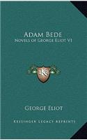 Adam Bede: Novels of George Eliot V1