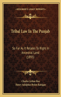Tribal Law In The Punjab