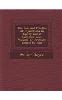 The Law and Practice of Injunctions in Equity and at Common Law, Volume 1 - Primary Source Edition