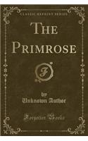 The Primrose (Classic Reprint)