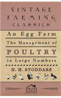 Egg Farm - The Management Of Poultry In Large Numbers