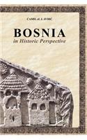 Bosnia in Historic Perspective