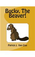 Bucky, The Beaver!