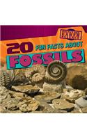 20 Fun Facts about Fossils: (Fun Fact File: Earth Science)