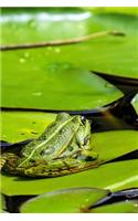 A Frog Resting on a Lily Pad, for the Love of Animals: Blank 150 Page Lined Journal for Your Thoughts, Ideas, and Inspiration(English)
