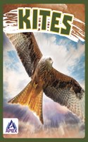 Kites: (Birds of Prey)