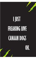 I Just Freaking Love Canaan Dogs Ok