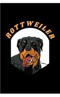 Rottweiler Notizbuch: Schönes Rottweiler Notizbuch mit 120 karierte Seiten im A5 Format