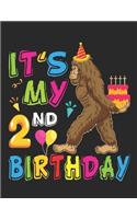 It's My 2nd Birthday